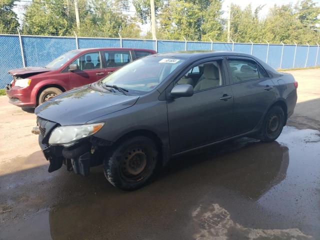 Photo 0 VIN: 2T1BU4EE4AC415824 - TOYOTA COROLLA BA 