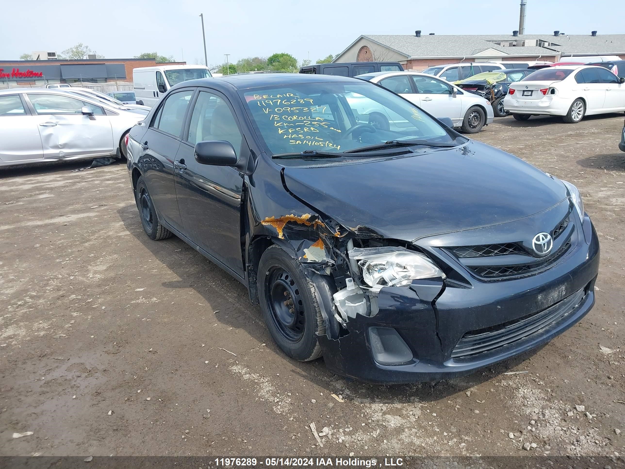 Photo 0 VIN: 2T1BU4EE4DC095327 - TOYOTA COROLLA 