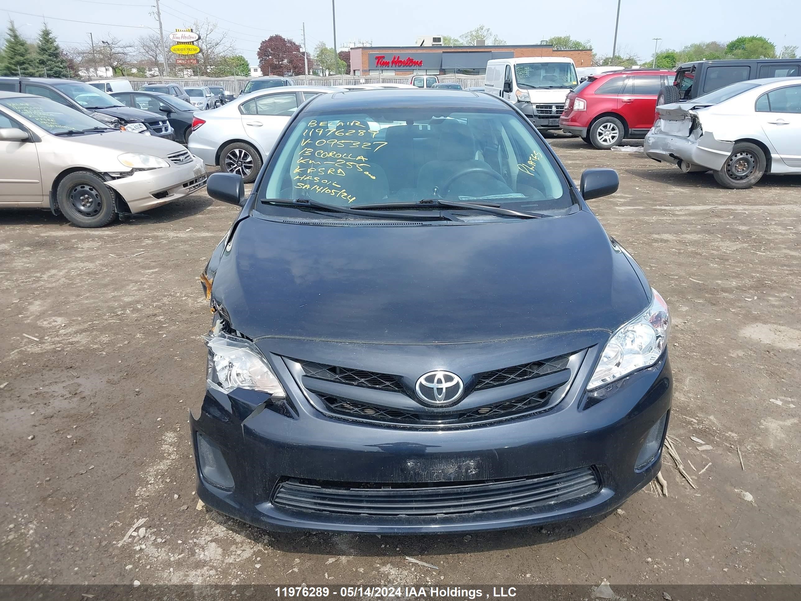 Photo 11 VIN: 2T1BU4EE4DC095327 - TOYOTA COROLLA 