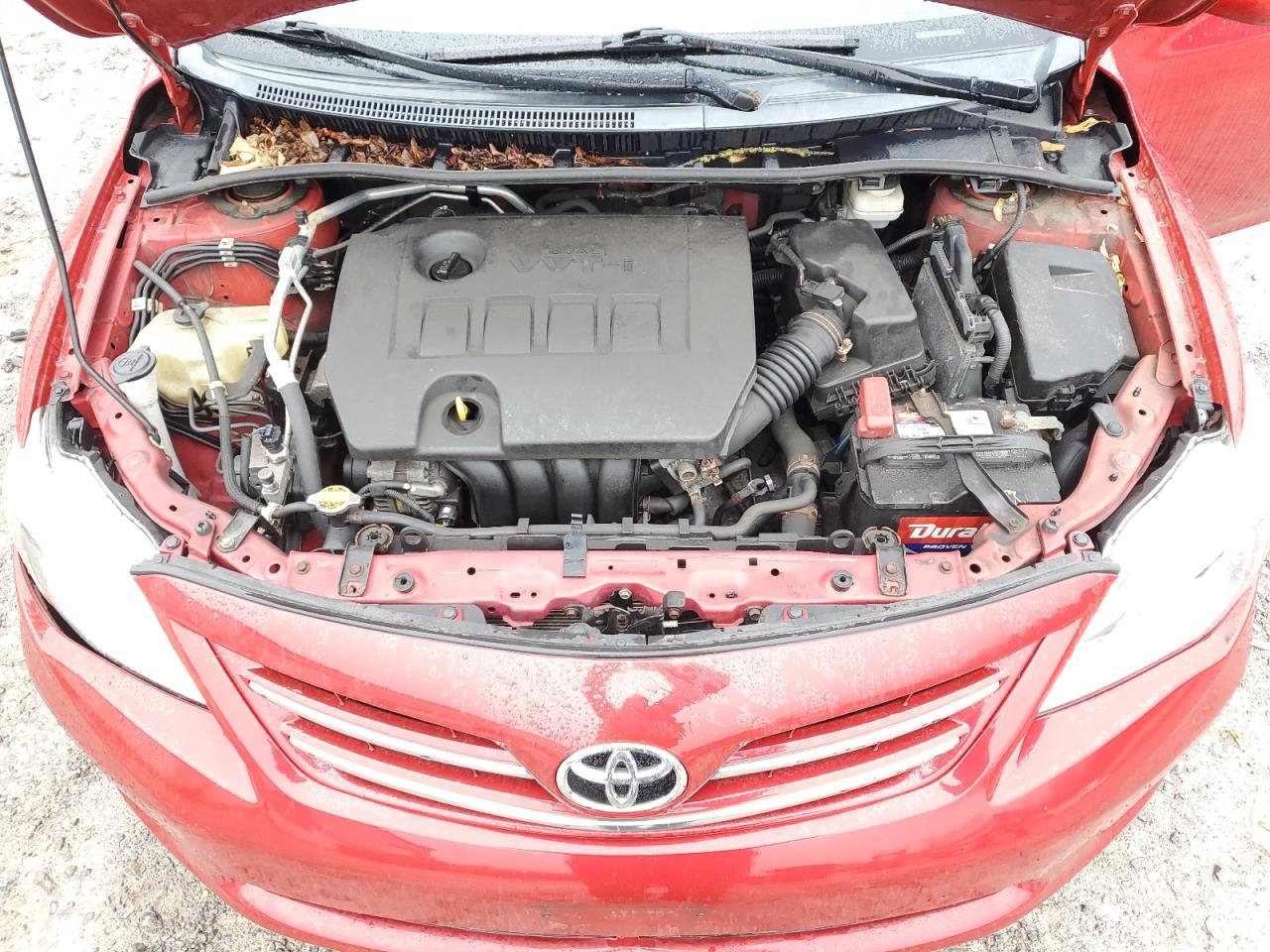 Photo 10 VIN: 2T1BU4EE4DC107668 - TOYOTA COROLLA 