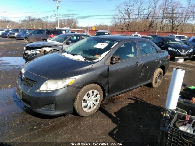 Photo 1 VIN: 2T1BU4EE5AC286900 - TOYOTA COROLLA 