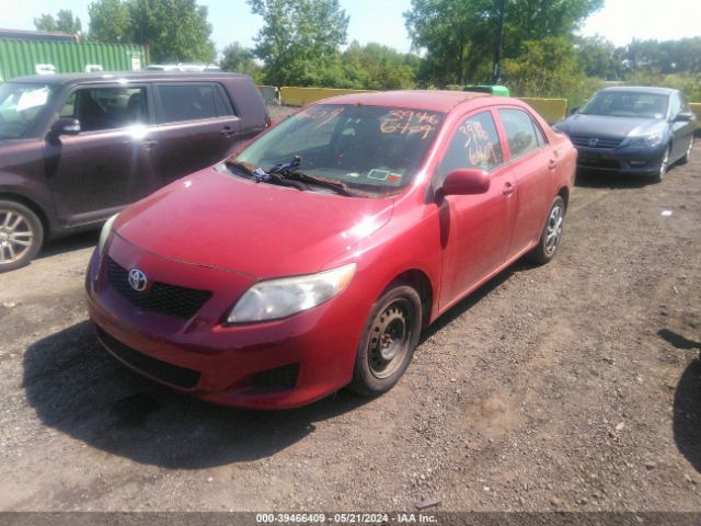 Photo 1 VIN: 2T1BU4EE5AC297833 - TOYOTA COROLLA 