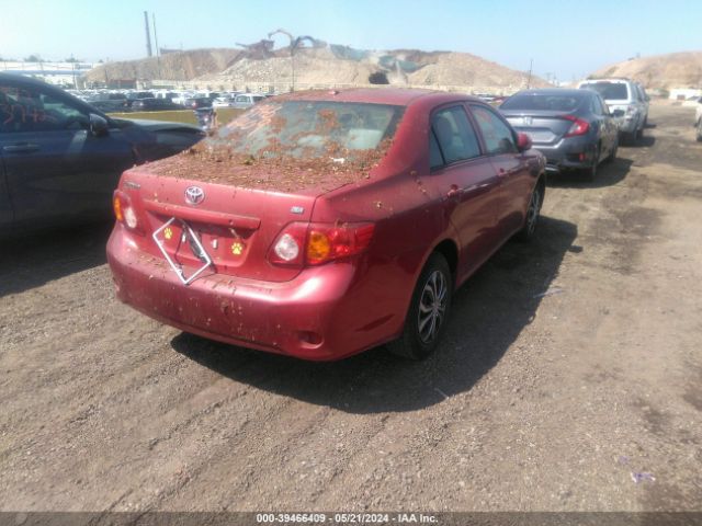 Photo 3 VIN: 2T1BU4EE5AC297833 - TOYOTA COROLLA 