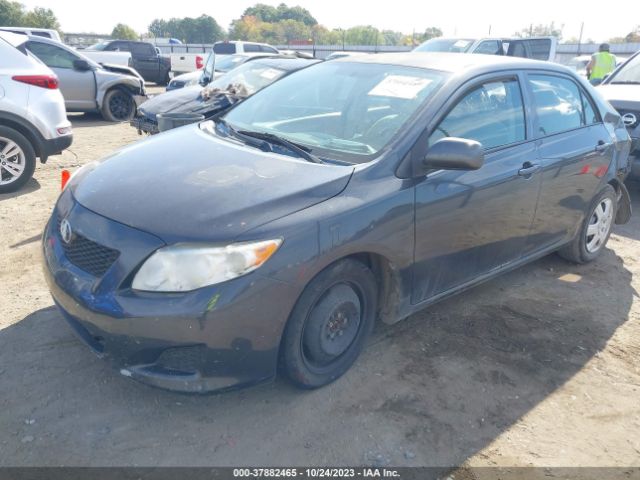 Photo 1 VIN: 2T1BU4EE5AC355911 - TOYOTA COROLLA 