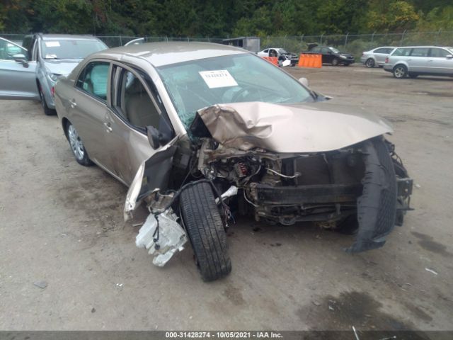 Photo 5 VIN: 2T1BU4EE5AC377150 - TOYOTA COROLLA 