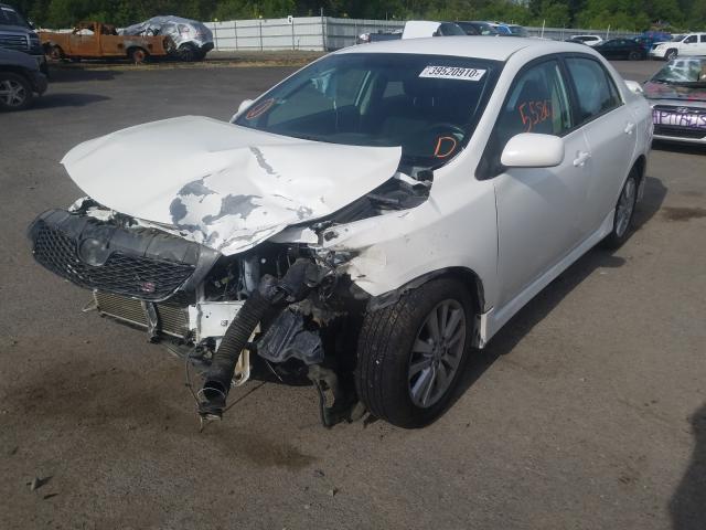 Photo 1 VIN: 2T1BU4EE5AC441025 - TOYOTA COROLLA BA 