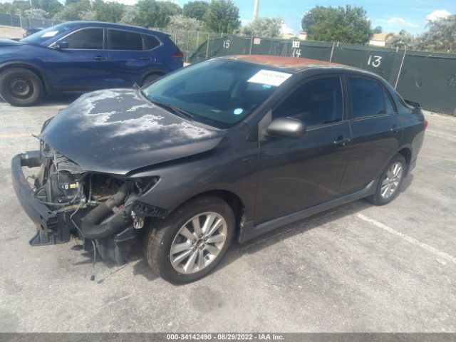 Photo 1 VIN: 2T1BU4EE5AC449819 - TOYOTA COROLLA 