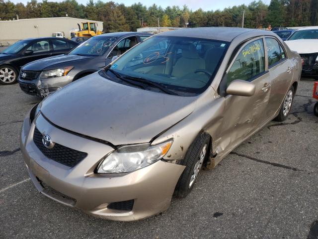 Photo 1 VIN: 2T1BU4EE5AC497367 - TOYOTA COROLLA BA 