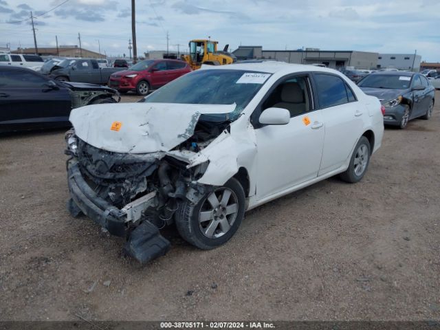 Photo 1 VIN: 2T1BU4EE5BC558721 - TOYOTA COROLLA 