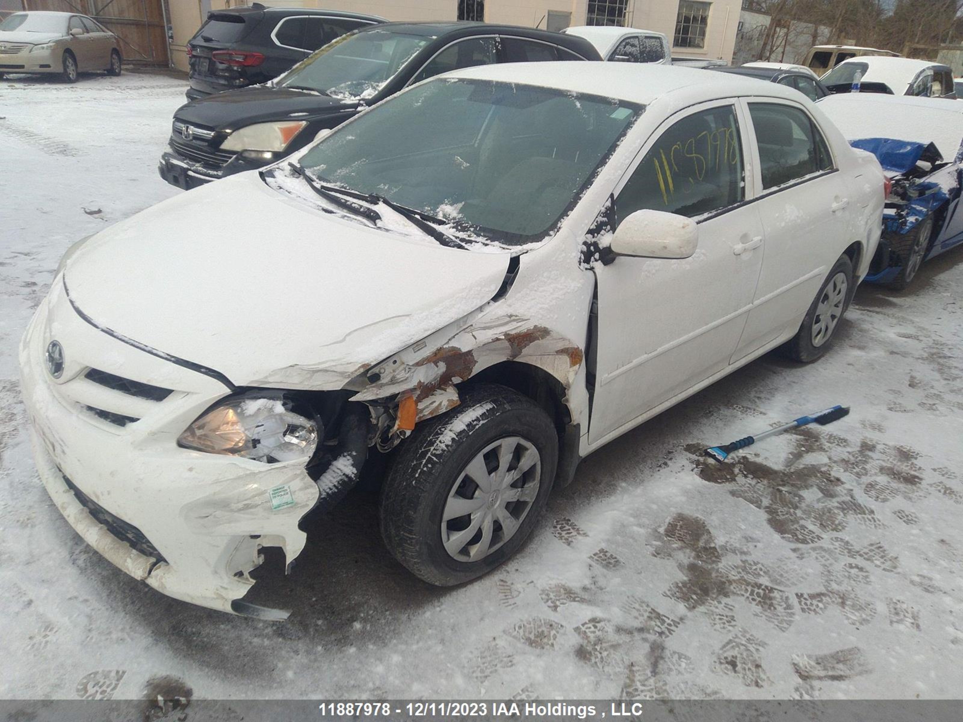 Photo 1 VIN: 2T1BU4EE5BC655501 - TOYOTA COROLLA 