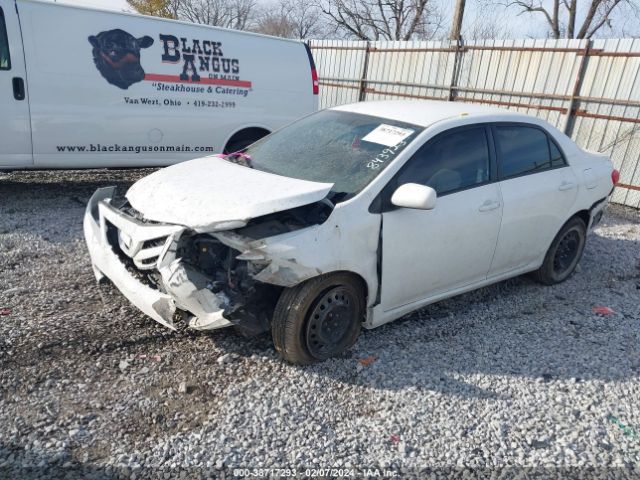 Photo 1 VIN: 2T1BU4EE5CC843923 - TOYOTA COROLLA 