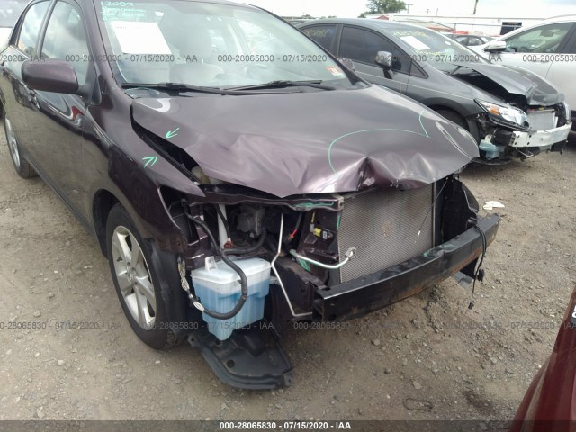 Photo 5 VIN: 2T1BU4EE5DC081789 - TOYOTA COROLLA 