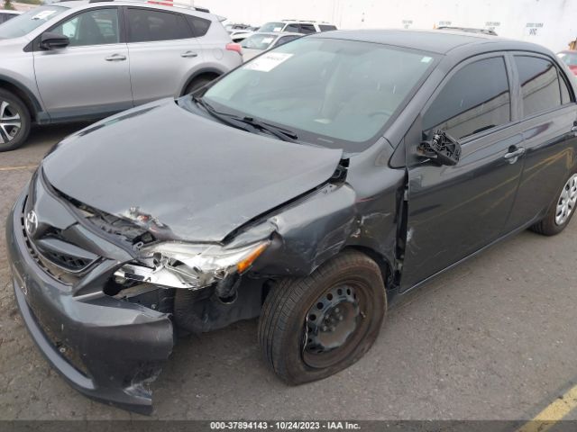 Photo 5 VIN: 2T1BU4EE5DC127413 - TOYOTA COROLLA 