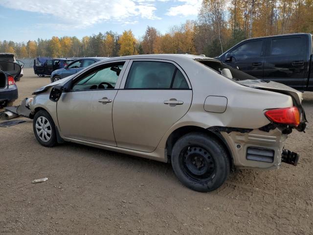 Photo 1 VIN: 2T1BU4EE6AC259768 - TOYOTA COROLLA BA 