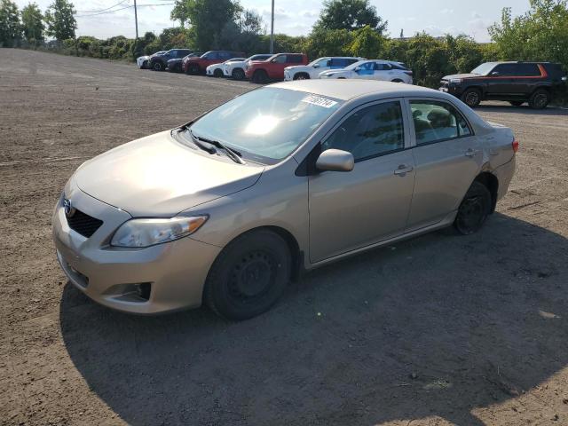 Photo 0 VIN: 2T1BU4EE6AC293709 - TOYOTA COROLLA BA 