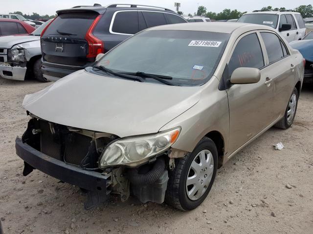 Photo 1 VIN: 2T1BU4EE6AC402783 - TOYOTA COROLLA BA 