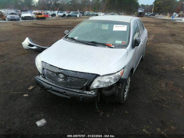 Photo 5 VIN: 2T1BU4EE6AC461316 - TOYOTA COROLLA 