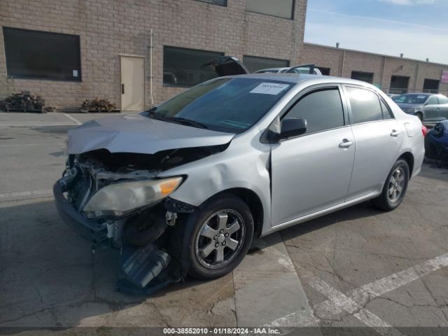 Photo 1 VIN: 2T1BU4EE6BC549817 - TOYOTA COROLLA 