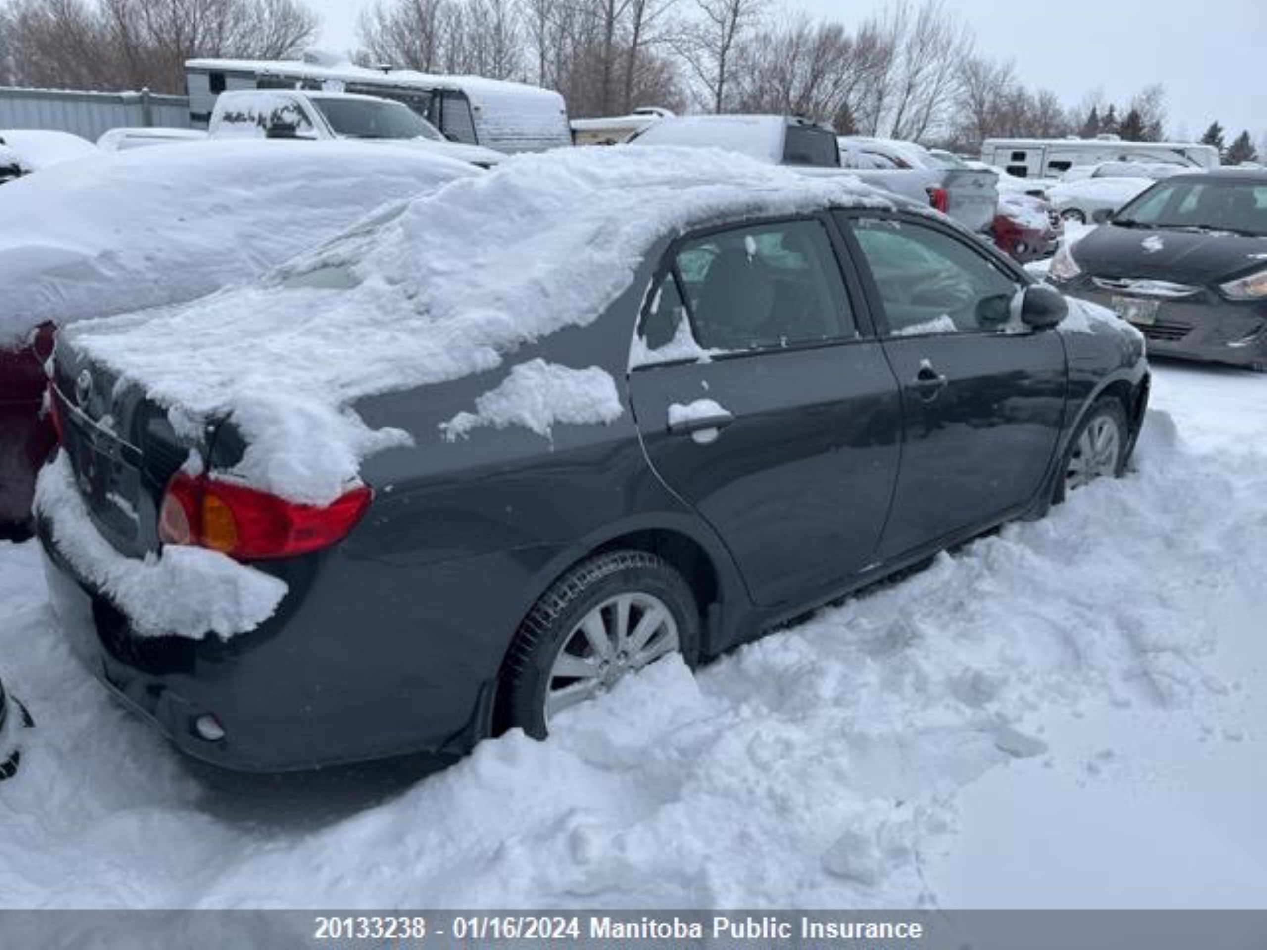 Photo 3 VIN: 2T1BU4EE7AC362925 - TOYOTA COROLLA 