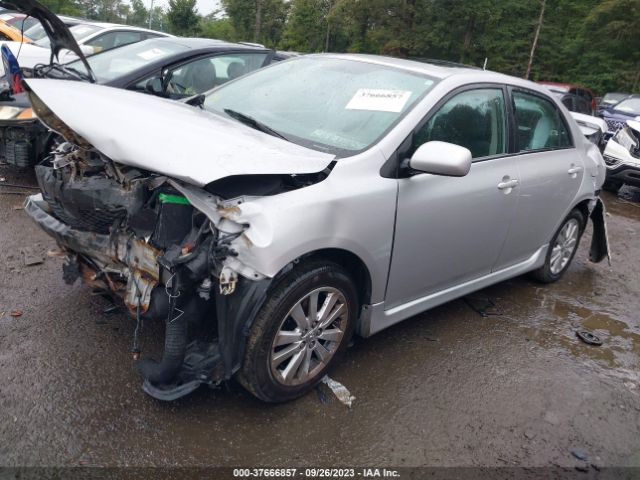 Photo 1 VIN: 2T1BU4EE7AC426106 - TOYOTA COROLLA 