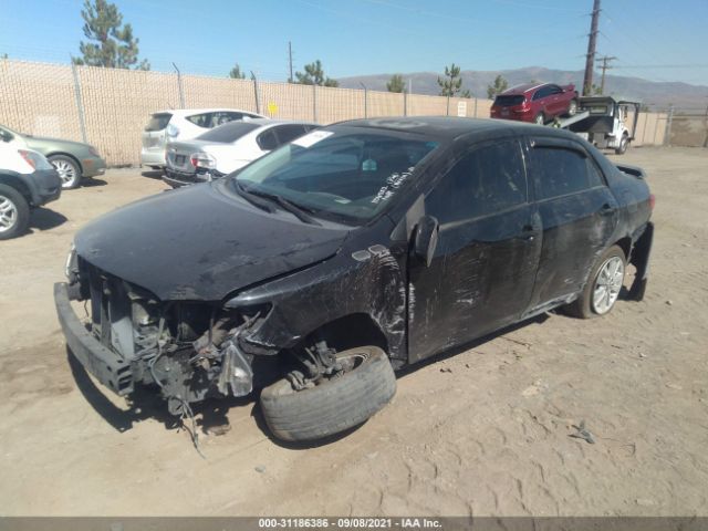 Photo 1 VIN: 2T1BU4EE7AC443438 - TOYOTA COROLLA 