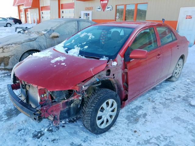 Photo 1 VIN: 2T1BU4EE7CC758341 - TOYOTA COROLLA CE 