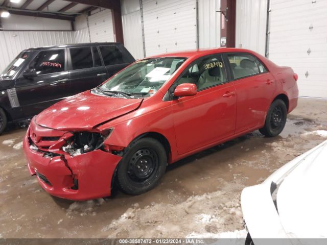 Photo 1 VIN: 2T1BU4EE7CC849769 - TOYOTA COROLLA 