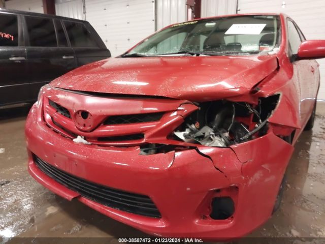 Photo 5 VIN: 2T1BU4EE7CC849769 - TOYOTA COROLLA 