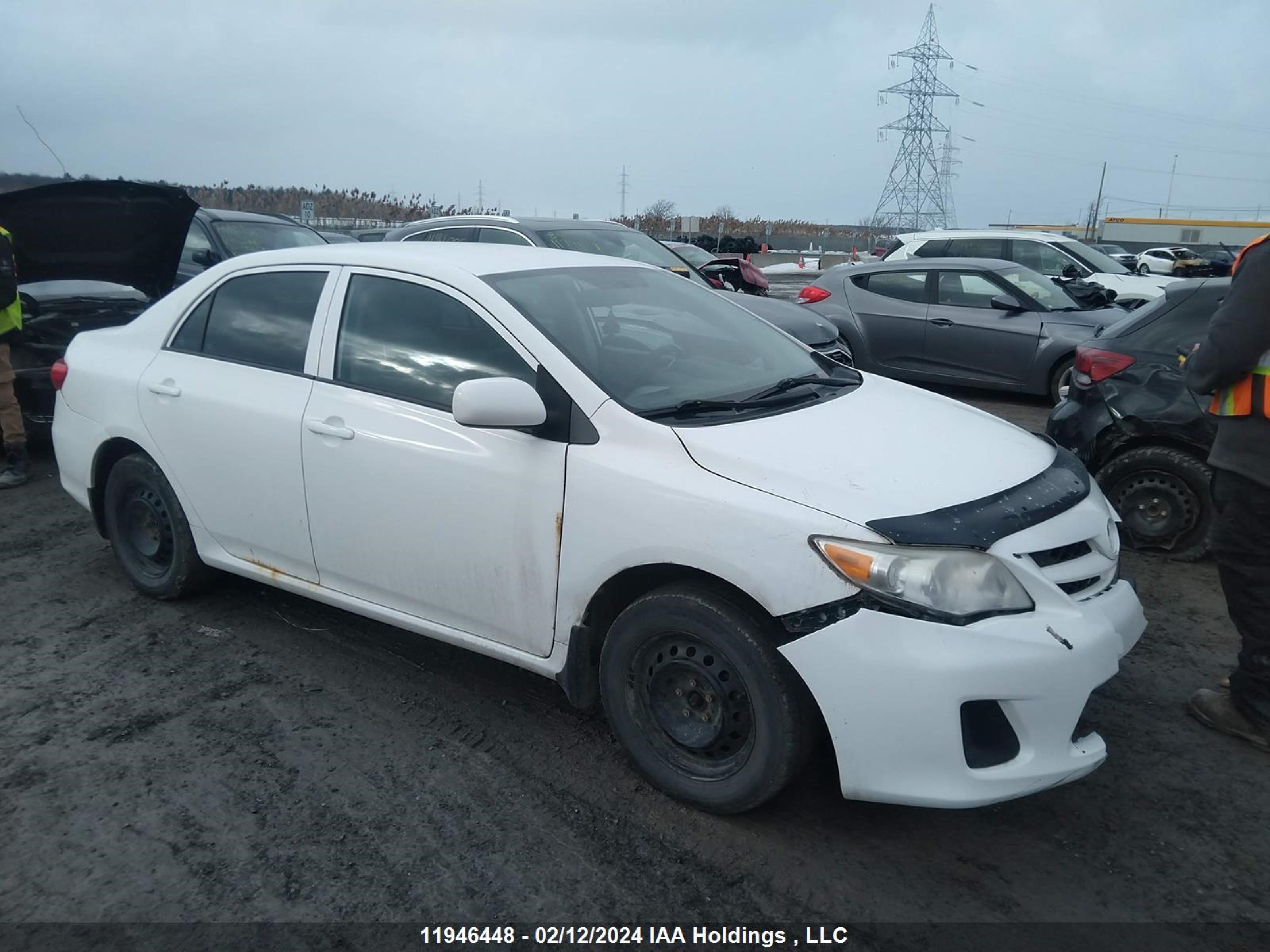 Photo 0 VIN: 2T1BU4EE7DC053749 - TOYOTA COROLLA 