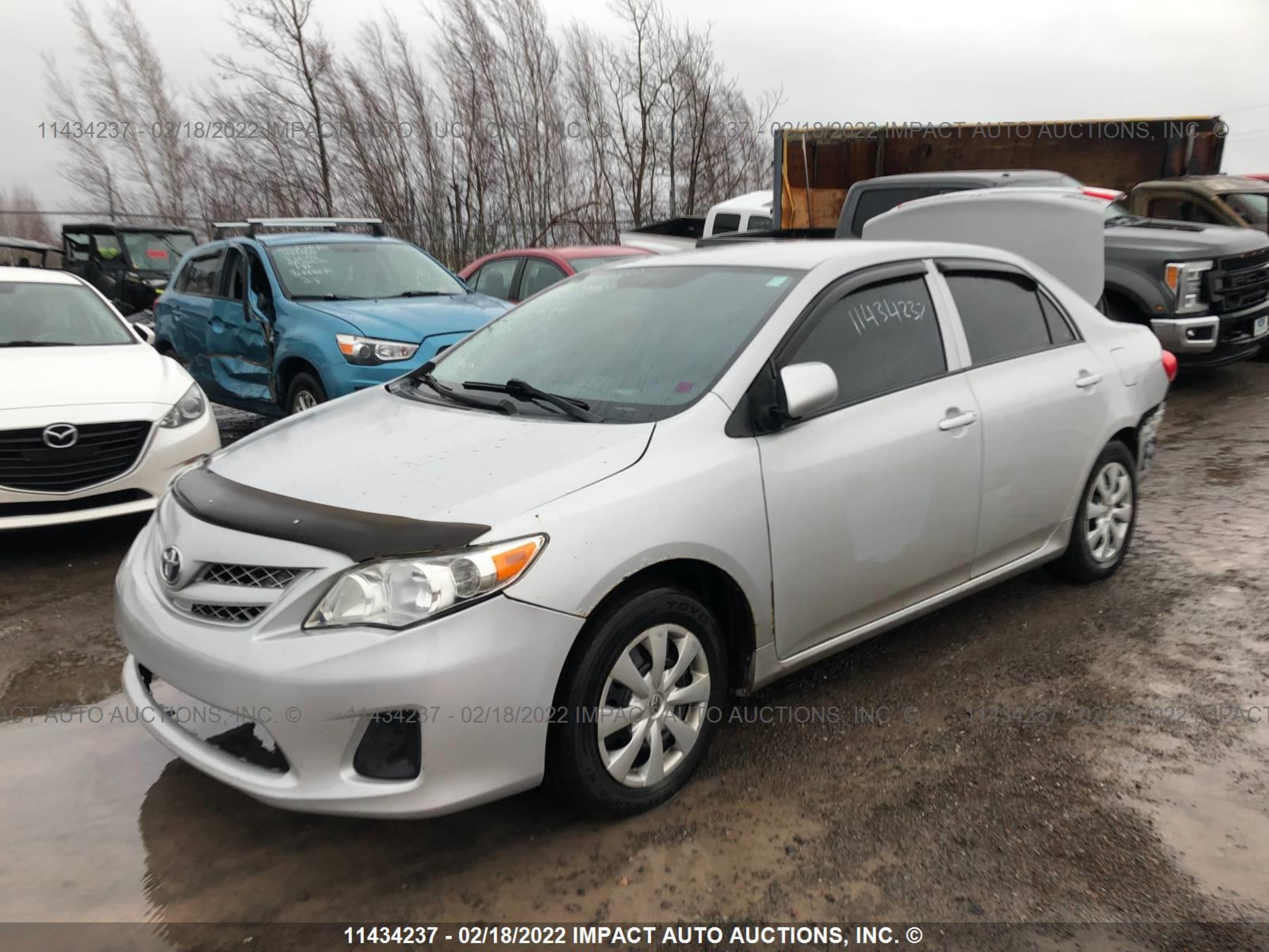 Photo 1 VIN: 2T1BU4EE7DC061737 - TOYOTA COROLLA 