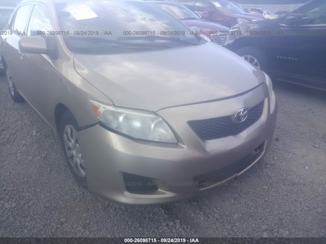 Photo 5 VIN: 2T1BU4EE8AC304175 - TOYOTA COROLLA 