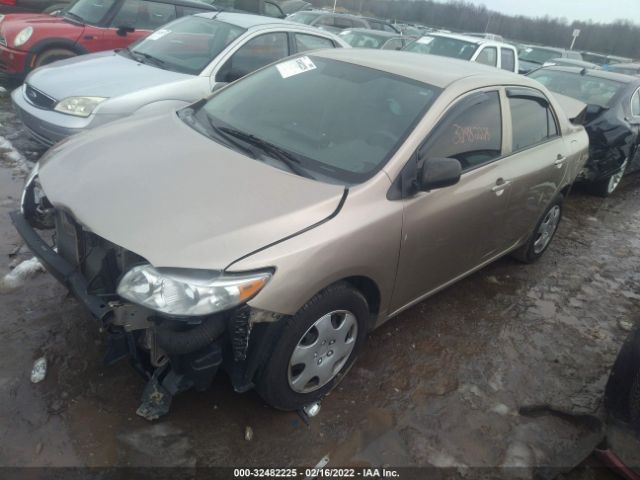 Photo 1 VIN: 2T1BU4EE8AC379278 - TOYOTA COROLLA 