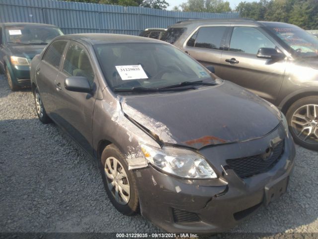 Photo 0 VIN: 2T1BU4EE8AC502335 - TOYOTA COROLLA 