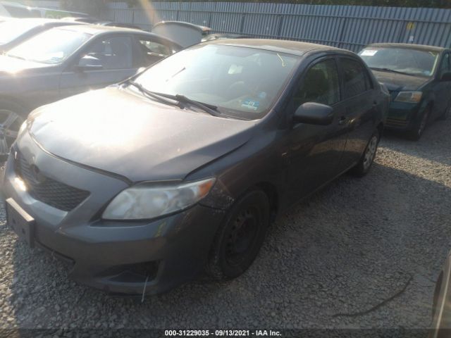 Photo 1 VIN: 2T1BU4EE8AC502335 - TOYOTA COROLLA 