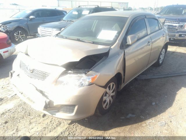 Photo 1 VIN: 2T1BU4EE8AC509110 - TOYOTA COROLLA 