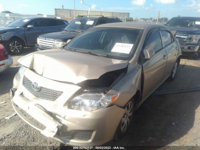 Photo 5 VIN: 2T1BU4EE8AC509110 - TOYOTA COROLLA 