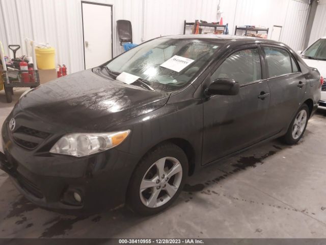 Photo 1 VIN: 2T1BU4EE8BC637669 - TOYOTA COROLLA 