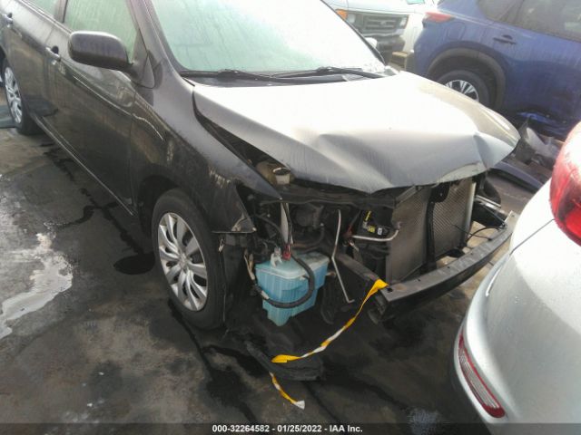 Photo 5 VIN: 2T1BU4EE8CC762205 - TOYOTA COROLLA 