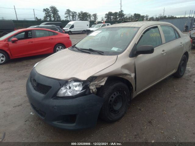 Photo 5 VIN: 2T1BU4EE9AC263720 - TOYOTA COROLLA 