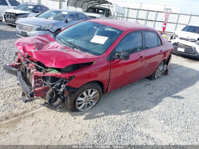 Photo 1 VIN: 2T1BU4EE9AC429184 - TOYOTA COROLLA 