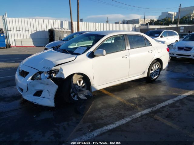 Photo 1 VIN: 2T1BU4EE9AC433462 - TOYOTA COROLLA 