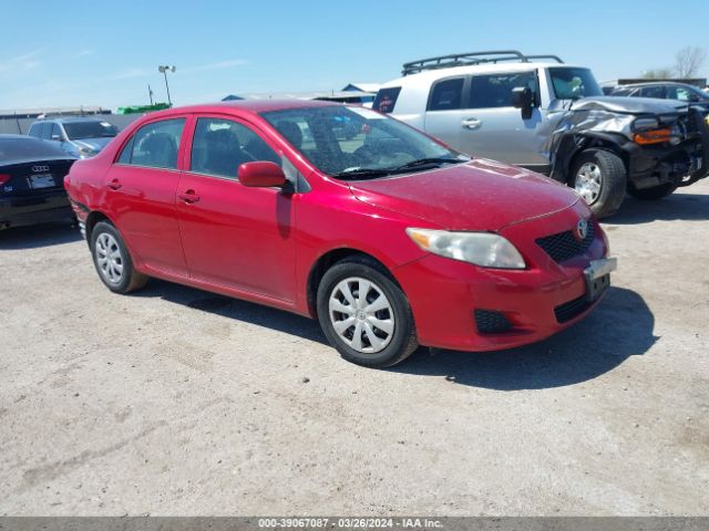 Photo 0 VIN: 2T1BU4EEXAC338800 - TOYOTA COROLLA 