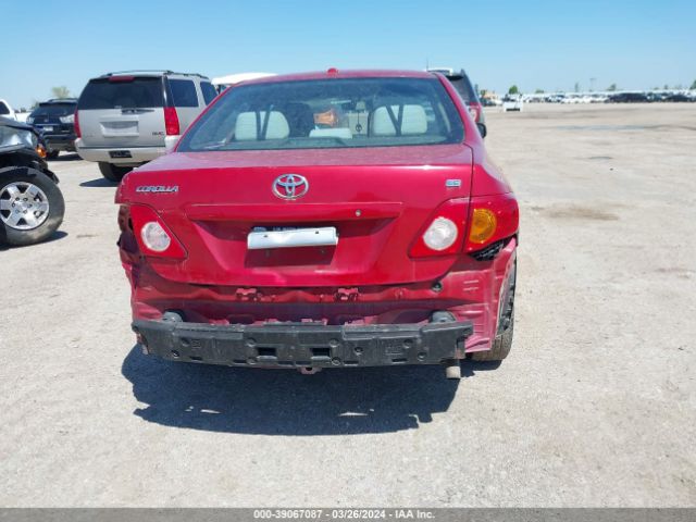 Photo 5 VIN: 2T1BU4EEXAC338800 - TOYOTA COROLLA 