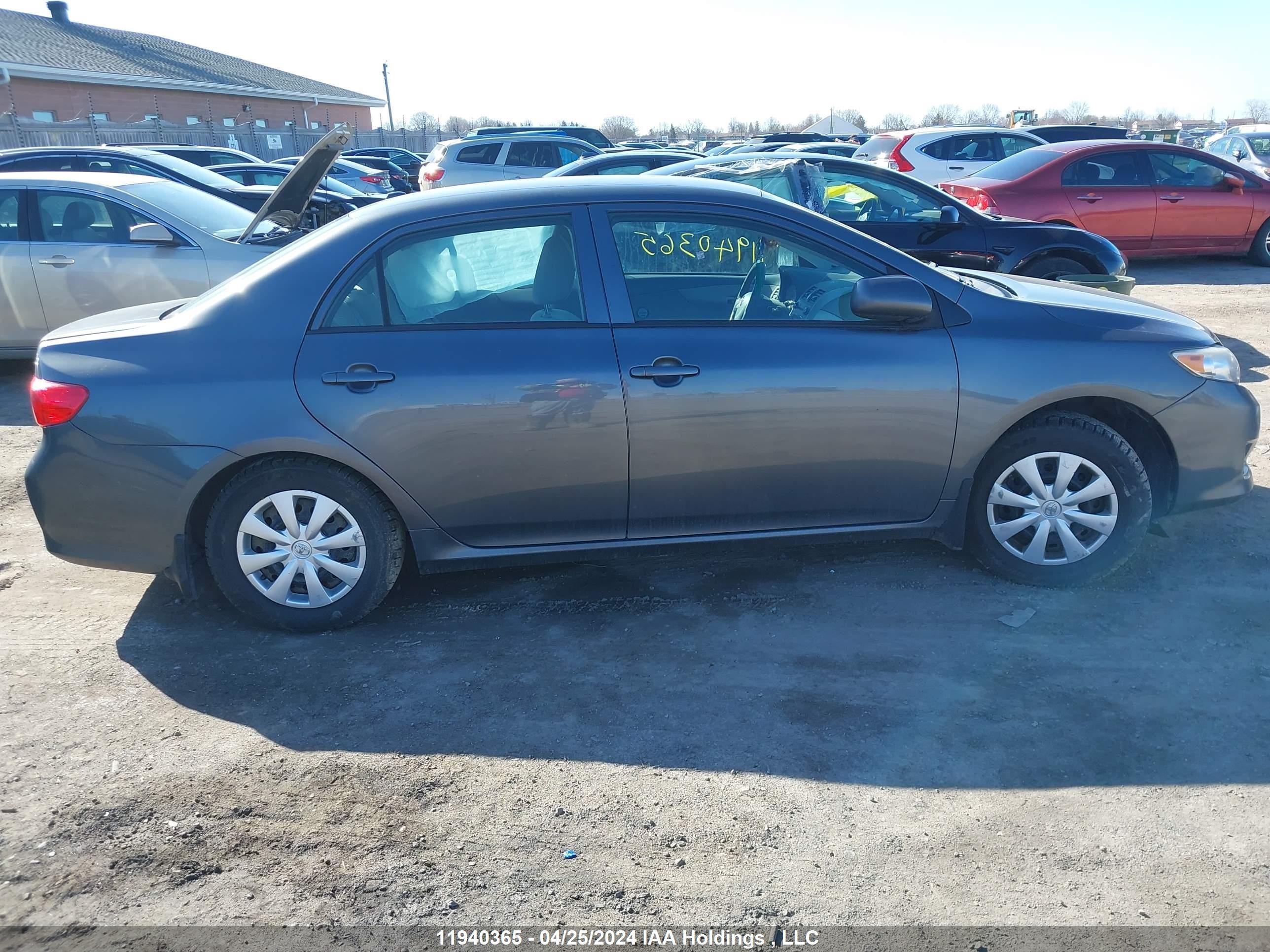 Photo 12 VIN: 2T1BU4EEXAC366676 - TOYOTA COROLLA 