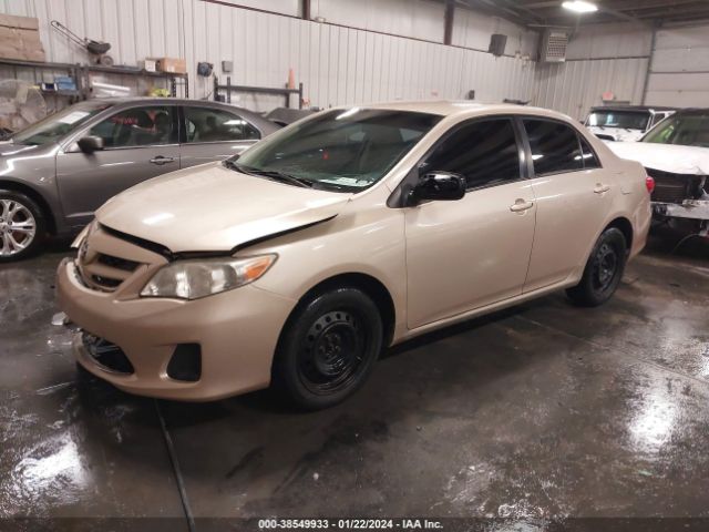 Photo 1 VIN: 2T1BU4EEXBC548122 - TOYOTA COROLLA 