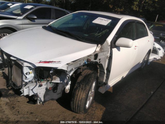 Photo 1 VIN: 2T1BU4EEXBC752144 - TOYOTA COROLLA 