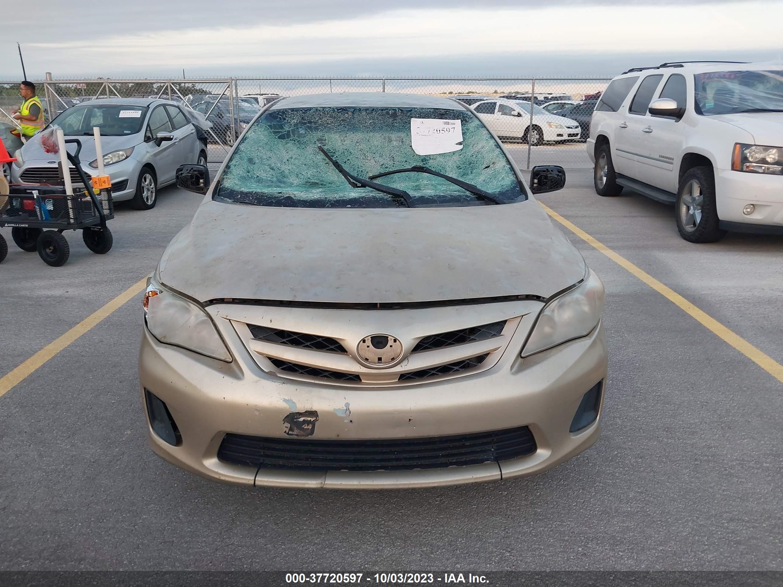 Photo 11 VIN: 2T1BU4EEXCC756096 - TOYOTA COROLLA 