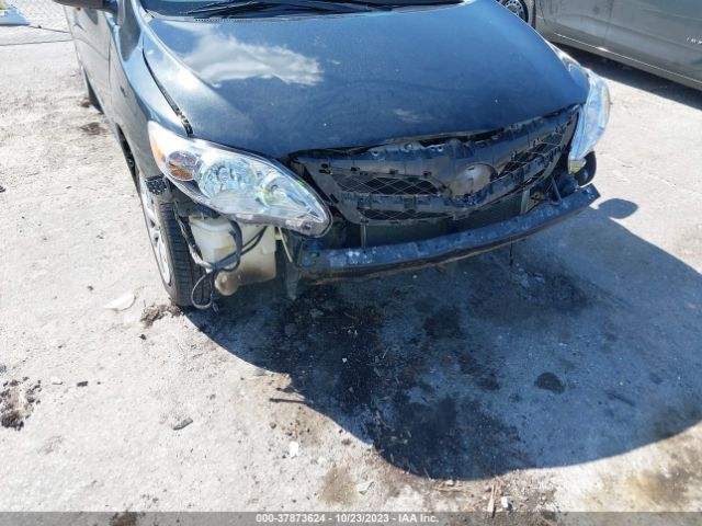 Photo 5 VIN: 2T1BU4EEXCC788806 - TOYOTA COROLLA 