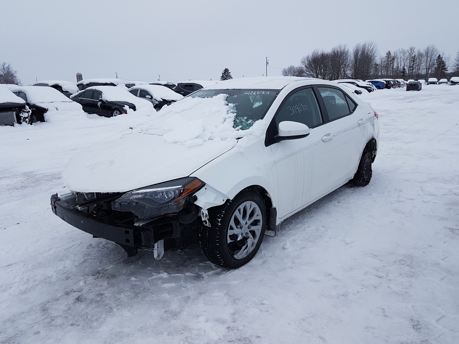 Photo 1 VIN: 2T1BURHE0JC990074 - TOYOTA COROLLA L 