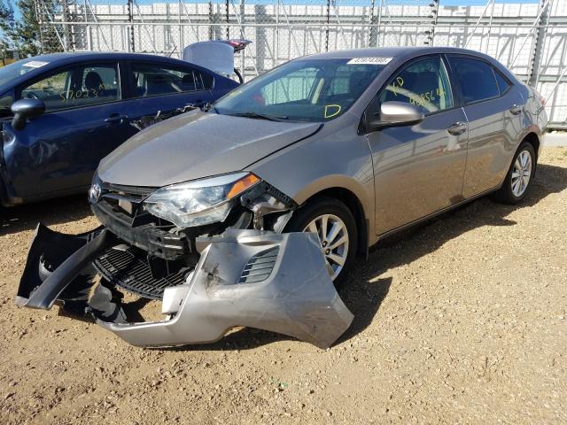 Photo 1 VIN: 2T1BURHE3FC406449 - TOYOTA COROLLA L 